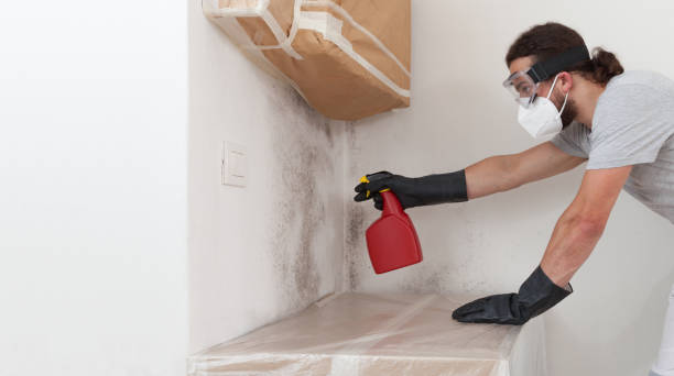 Professional Attic Mold Removal technician working in Woodward, PA