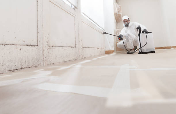24/7 Emergency Attic Mold Removal experts in Woodward, PA